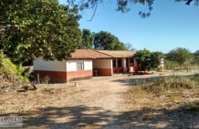 Fazenda para venda em São Romão